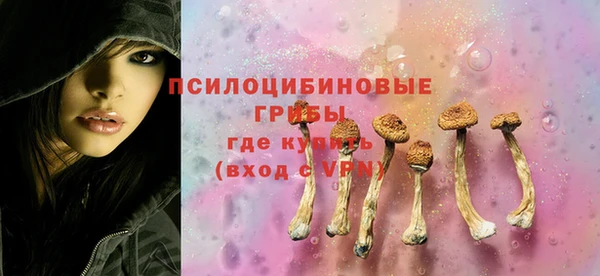 МДПВ Ладушкин